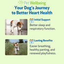 Young at Heart - for Healthy Heart Maintenance in Dogs - Dog Vitamins & Supplements 6