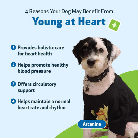 Young at Heart - for Healthy Heart Maintenance in Dogs - Dog Vitamins & Supplements 11