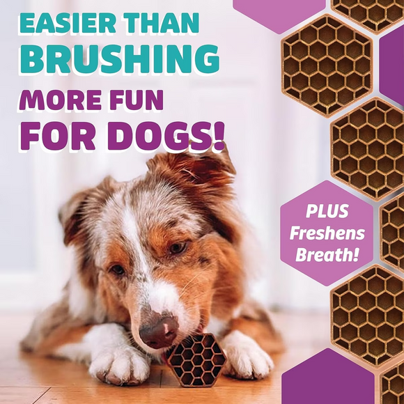 Yummy Combs Fish & Egg Dental Flossing Treats for Extra-Small Dogs 5.5-12lbs - Dog Dental Chews & Treats 3