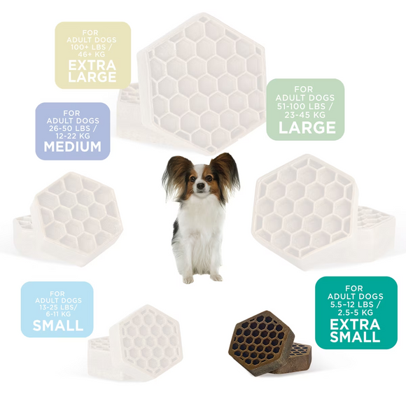 Yummy Combs Fish & Egg Dental Flossing Treats for Extra-Small Dogs 5.5-12lbs - Dog Dental Chews & Treats 5