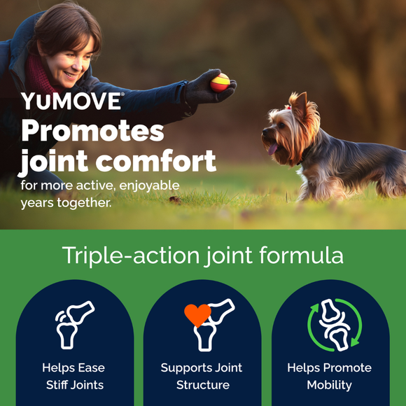 YuMOVE Hip & Joint Health Supplement For Dogs 60 Soft Chews - Dog Joint & Hip Supplements 4