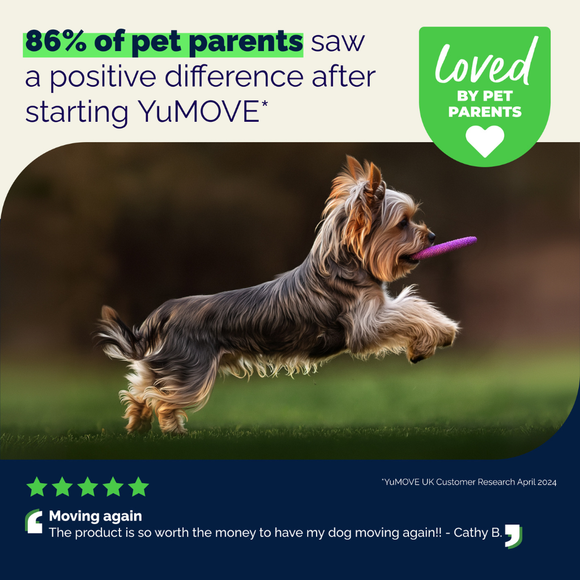 YuMOVE Hip & Joint Health Supplement For Dogs 60 Soft Chews - Dog Joint & Hip Supplements 10