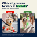 YuMOVE Hip & Joint Health Supplement Soft Chews for Adult Dogs - Joint Supplement 5