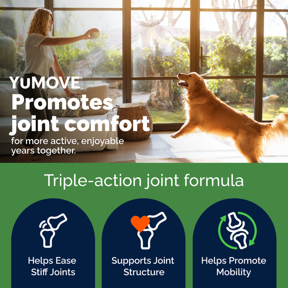 YuMOVE Hip & Joint Health Supplement Soft Chews for Adult Dogs - Joint Supplement 4