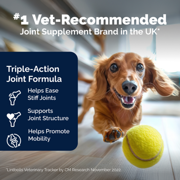 YuMOVE PLUS Joint Supplement Extra-Strength Tablets for Dogs - Dog Hip & Joint Supplements 3