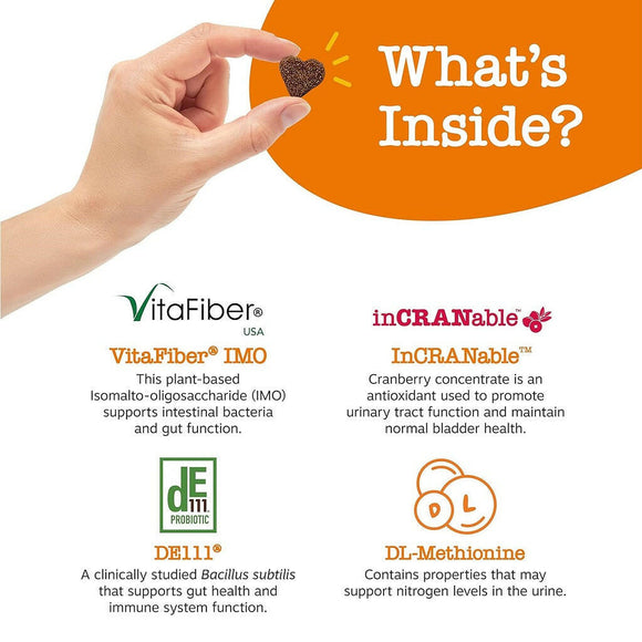 Zesty Paws Stay Green Bites Chicken Flavor Digestive Supplement For Dogs (90 ct)