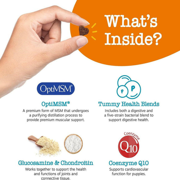 Zesty Paws Puppy Multivitamin Bites Chicken Probiotic Support For Small Dogs (90 ct)