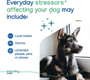ZENIDOG Calming Pheromone Gel-Diffuser for Dogs - Dog Calming & Anxiety Supplements 5