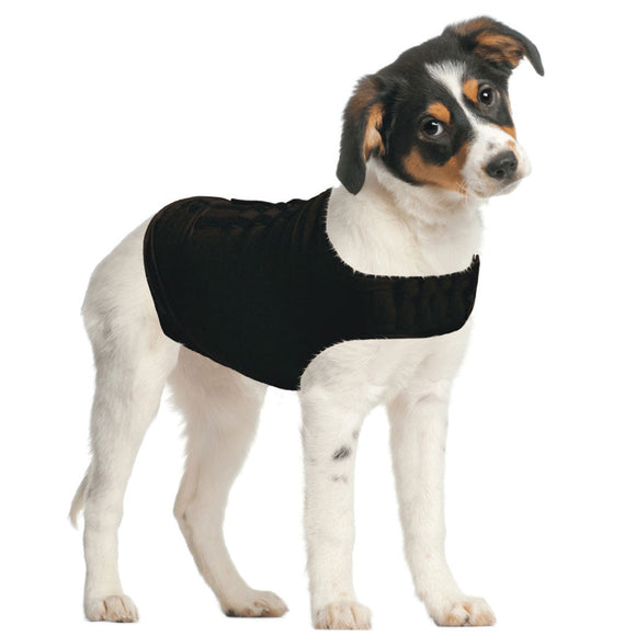 ZenPet ZenDog Plus Compression Shirt for Dogs - Dog Apparel & Accessories 2