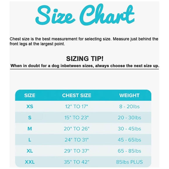 ZenPet ZenDog Plus Compression Shirt for Dogs - Dog Apparel & Accessories 3