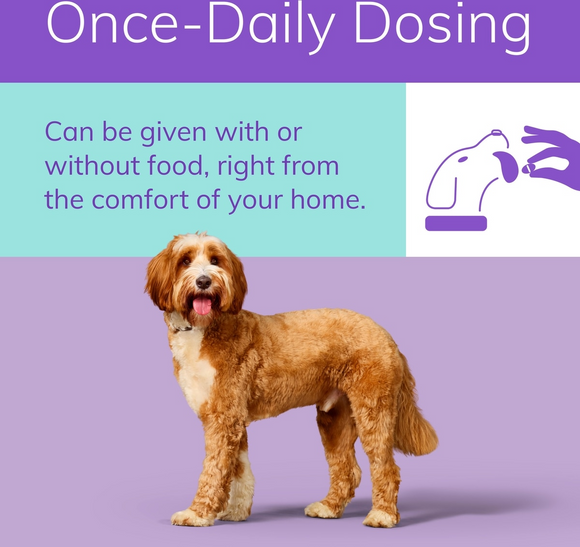 Zenrelia (ilunocitinib tablets) for Dogs 8.5-mg - Pet Medicine 4