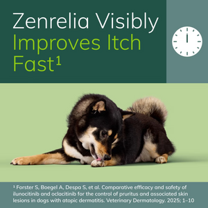 Zenrelia (ilunocitinib tablets) for Dogs 8.5-mg - Pet Medicine 2