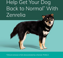 Zenrelia (ilunocitinib tablets) for Dogs 8.5-mg - Pet Medicine 3
