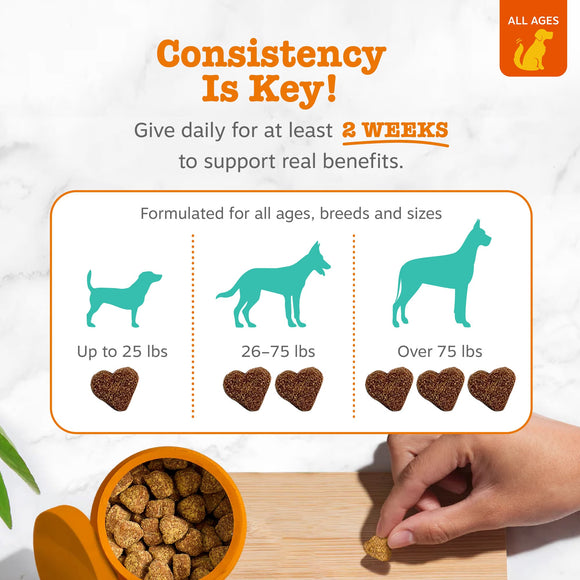 Zesty Paws Advanced Calming Bites Behavior Turkey Flavor Soft Chews for Dogs 60-count - Dog Calming & Anxiety