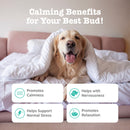 Zesty Paws Advanced Calming Bites Behavior Turkey Flavor Soft Chews for Dogs 60-count - Dog Calming & Anxiety