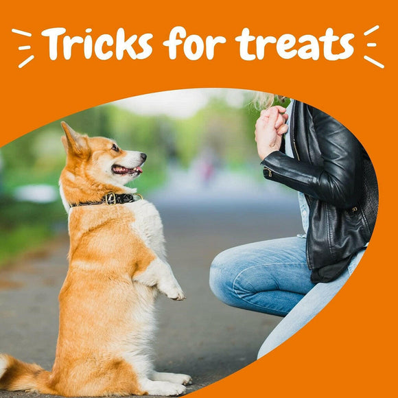 Zesty All in 1 Training Bite Bacon Flavor Multivitamin Treats For Dogs (8 oz)