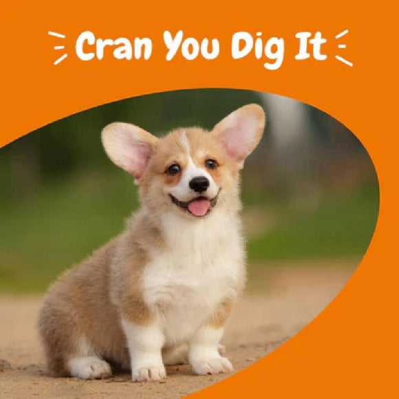 Zesty Paws Cranberry Bites Chicken Dog (90 ct)