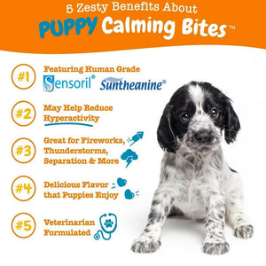 Zesty Calm Bite Turkey Flavor Soft Chew Supplement For Puppy (90 ct)