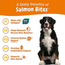 Zesty Paws Salmon Bites Skin Health Support Supplement For Dog (90 ct)