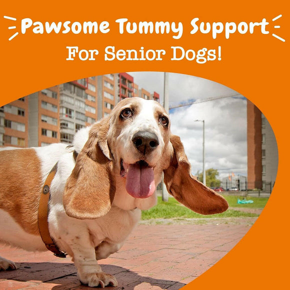 Zesty Paws Senior Advanced Probiotic Bites Chicken Flavor Supplement For Dog (90 ct)
