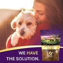 Zignature Pork Formula Ziggy Bars with Pumpkin Dog Treats