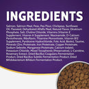 Zignature Salmon Formula Dry Dog Food