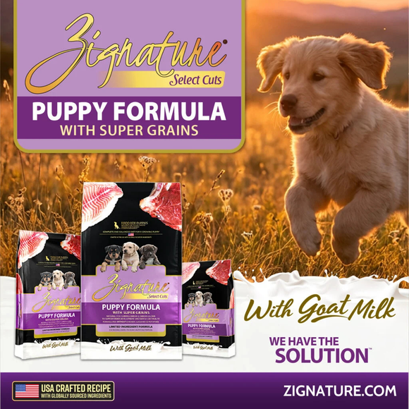 Zignature Select Cuts Puppy Formula Dog Food - Dog Food 2