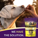 Zignature Turkey Formula Ziggy Bars with Pumpkin Dog Treats
