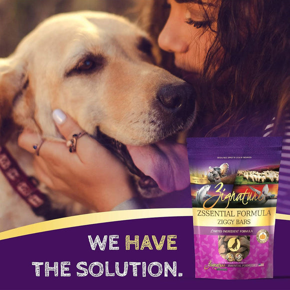 Zignature Zssential Formula Ziggy Bars with Pumpkin Dog Treats