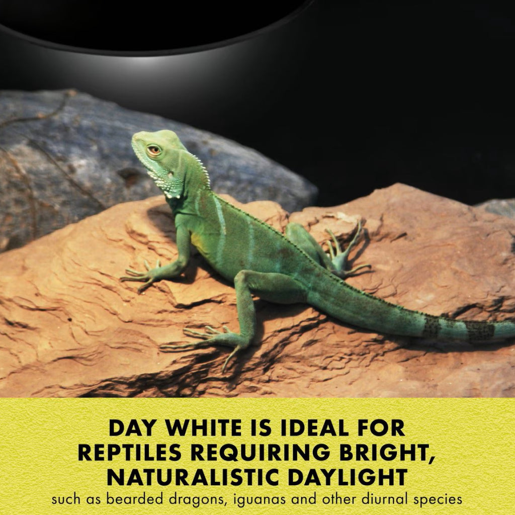 Zilla Mini Day White Halogen Bulb for Reptiles - Heating & Lighting