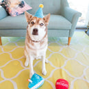 Zippy Paws Birthday Box Interactive Plush Toy For Dog Blue (3 pc)