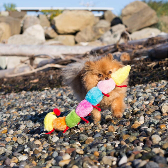 Zippy Paws Caterpillar Rainbow Squeaky Toy For Dog (Large)