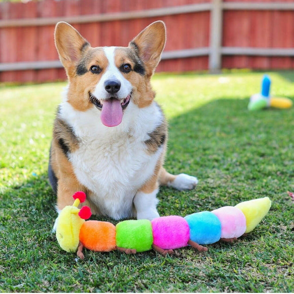 Zippy Paws Caterpillar Rainbow Squeaky Toy For Dog (Large)