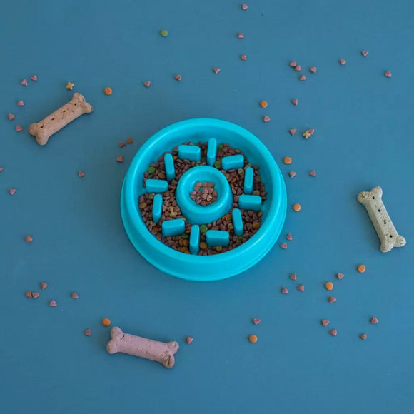 Blue pet food bowl with kibble on a blue background with scattered bones and kibble.