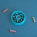 Blue pet food bowl with kibble on a blue background with scattered bones and kibble.