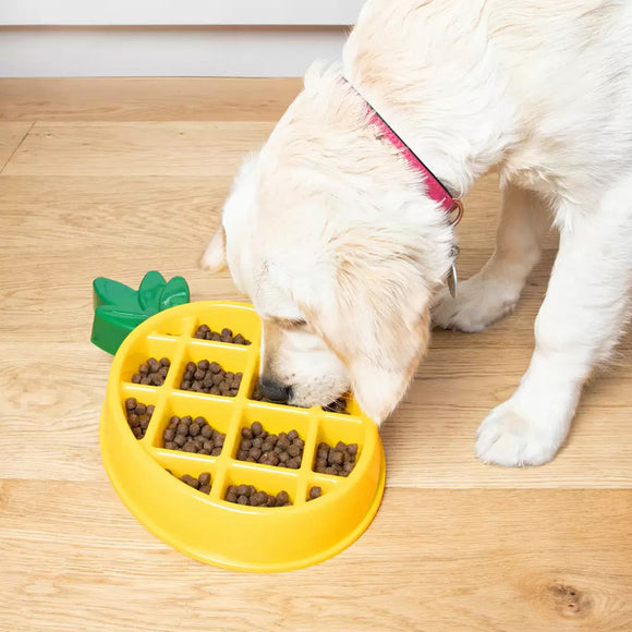Dog interacting with a pineapple-shaped treat dispenser on a wooden floor