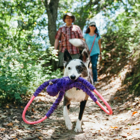 Zippy Paws Monkey RopeTugz Durable Rope Squeaky Chew Toy for Dogs - Plush Dog Toys 4