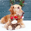 ZippyPaws Holiday Crinkle Dog Toy Reindeer - Dog Toy 3