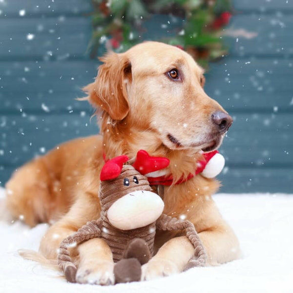 ZippyPaws Holiday Crinkle Dog Toy Reindeer - Dog Toy 3