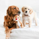 ZippyPaws Holiday Deluxe Reindeer Plush Dog Toy - Dog Toy 2