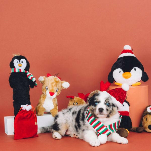 ZippyPaws Holiday Jigglerz Dog Toy