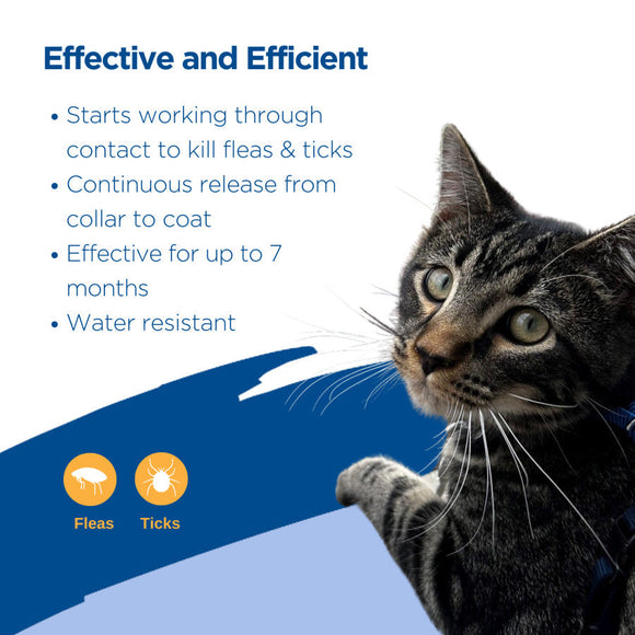 Zodiac Breakway Flea & Tick Collar for Cats 7-month Protection - Flea & Tick Collar 3