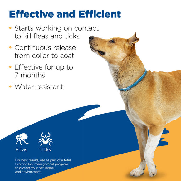 Zodiac Breakway Flea & Tick Collar for Dogs 7-month Protection - Flea & Tick Collar 5