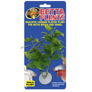 Zoo Med Betta Plant Philo, Green, 1-count