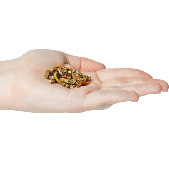 Zoo Med Gourmet Bearded Dragon Dry Food - Reptile Food 4
