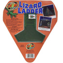 Zoo Med Lizard Ladder packaging with green ladder and branding on an orange background