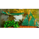 Reptile enclosure with a green triangle perch and two lizards.