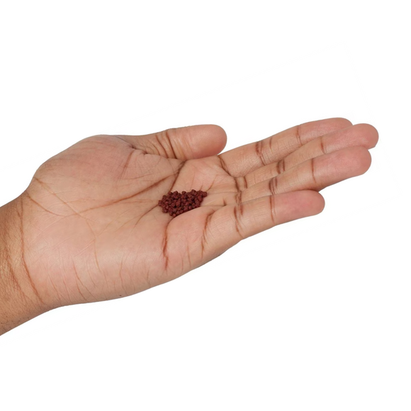 Zoo Med Micro Floating Betta Pellet Fish Food - Fish Food 4