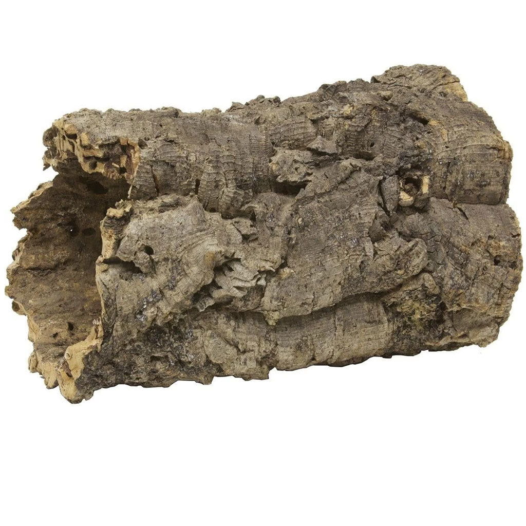 Natural Cork Bark Round for Reptiles | Zoo Med Terrarium Décor