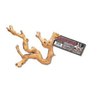Wooden branch with a tag on a white background